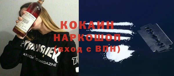 apvp Алексин