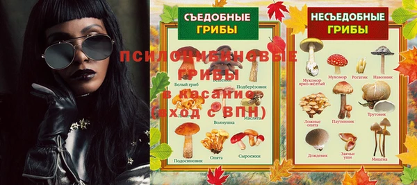 apvp Алексин
