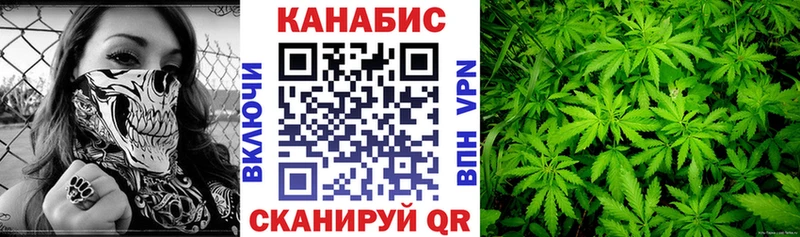 кракен зеркало  Александровское  Бошки марихуана Ganja  наркота 